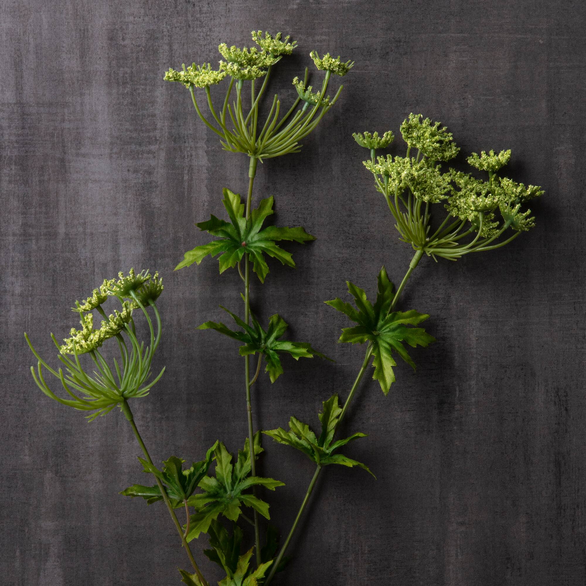 Light Green Queen Anne's Lace Spray by Ashland®